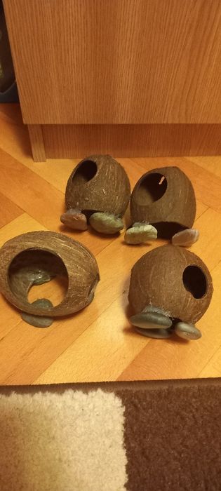 Filtru extern Tetratec Ex 800 plus