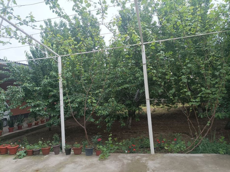 Uy tayyor kiriladi yashaladi hamma sharitlar tolliiw