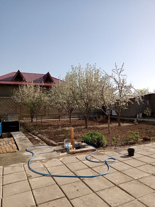 Qibray markazida Hamyonbob narxda