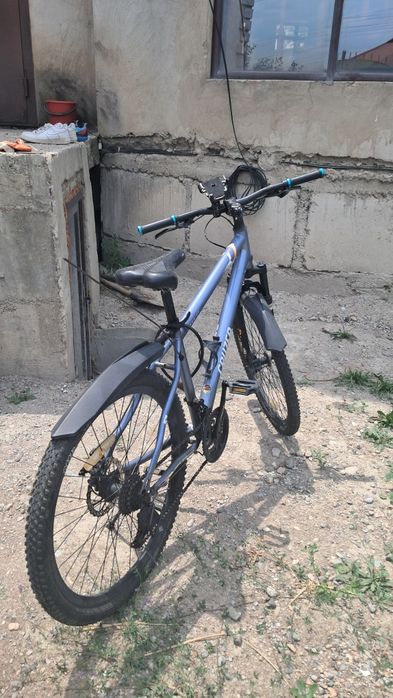 Велик состояние зоррр