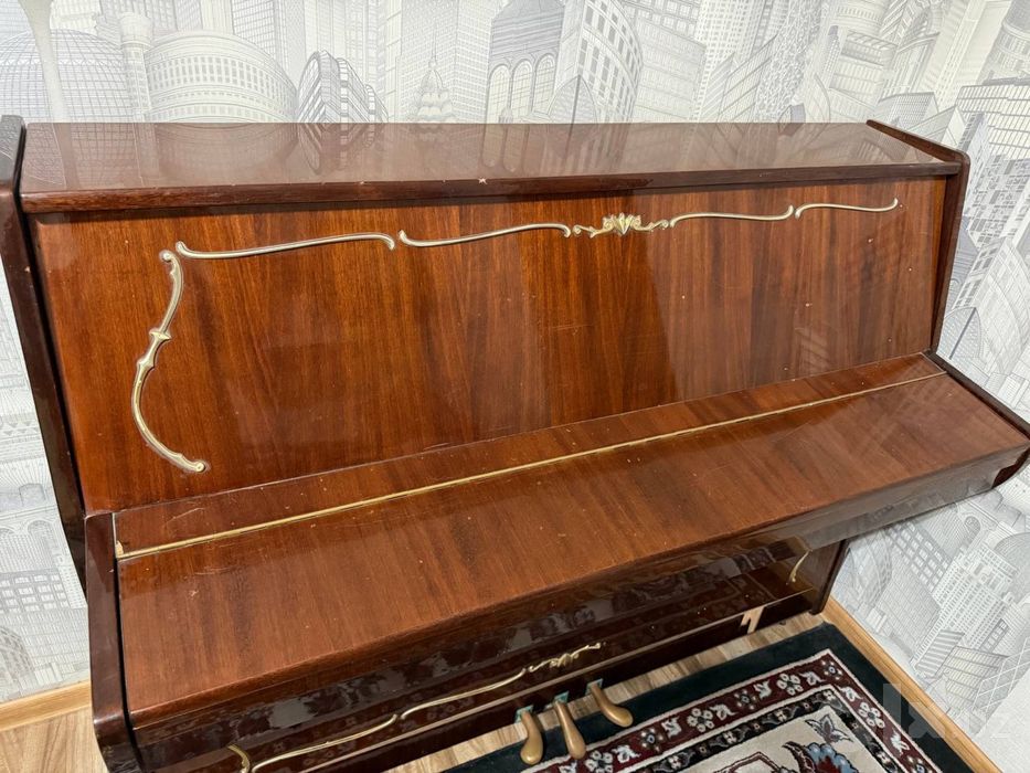 Fortopianino professional
