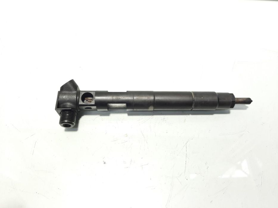 Injector Delphi, cod A6510702887, Mercedes Clasa E (W212) 2.2 CDI, OM651924