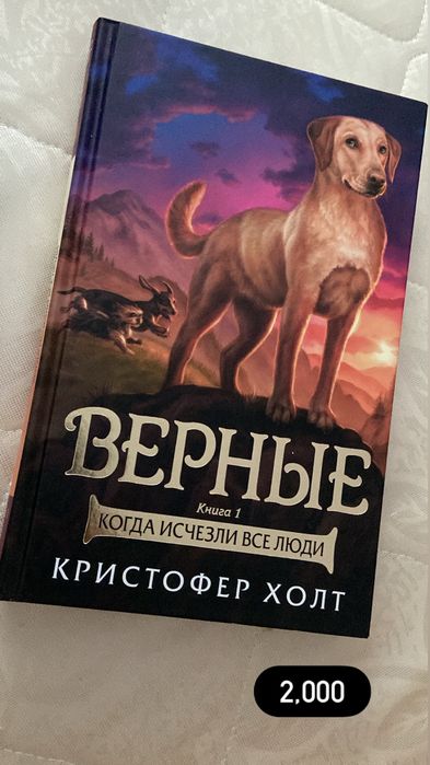 Книги в отличном состоянии
