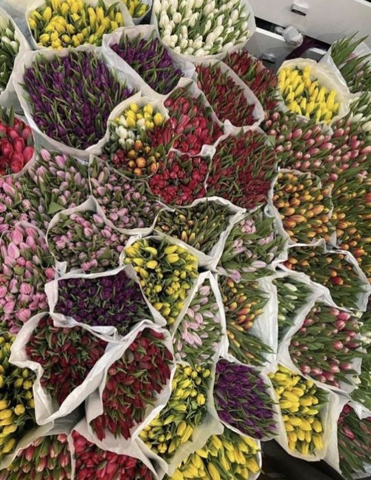 Тюльпаны оптом Астана