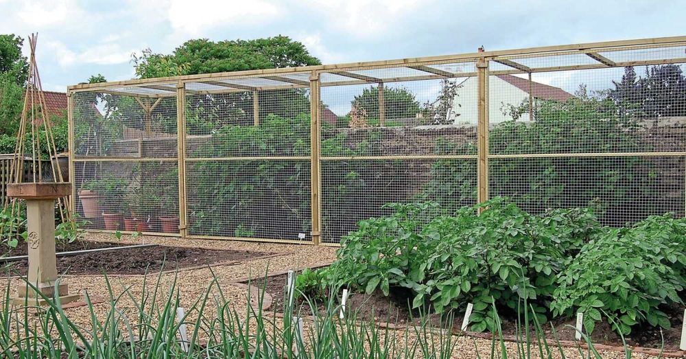 Сетка для птиц пластиковая