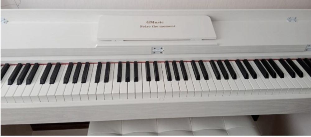 Цифровое фортепиано!