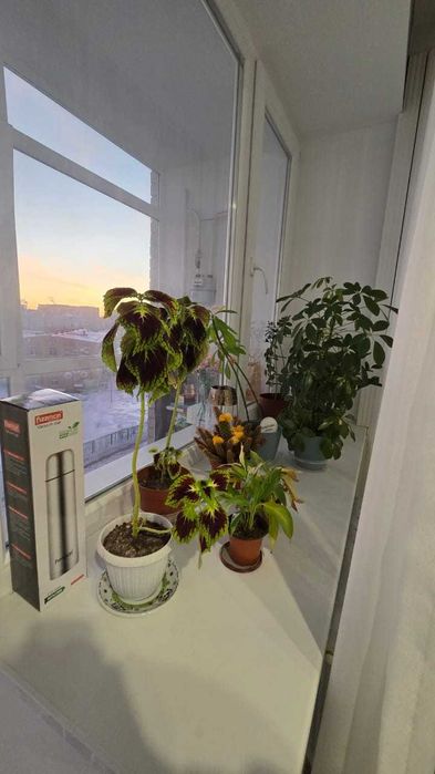 продажа 1- ком кв на Батыс 2