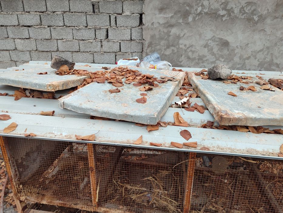 Katak tayor quyon uchun