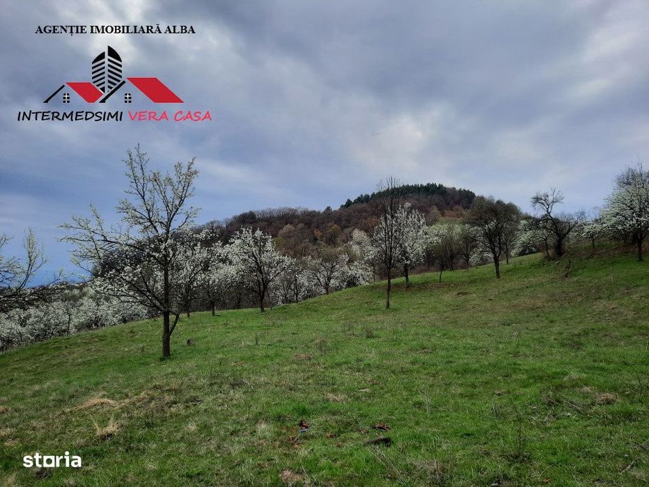 Teren intravilan 1500 mp de vanzare in Inuri Jud Alba