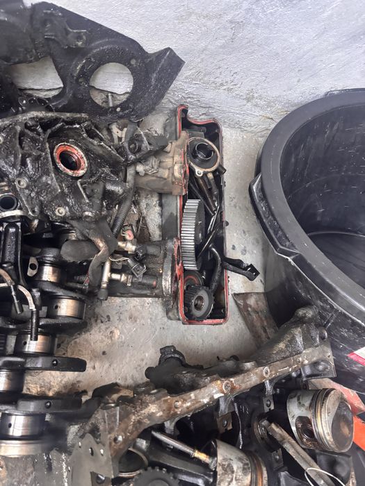 Матор галовка матор