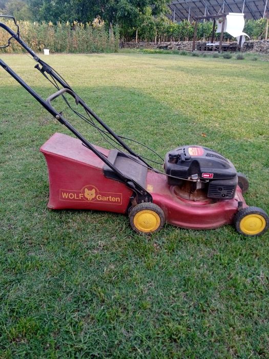 Косене и поддръжка на трева и храсти