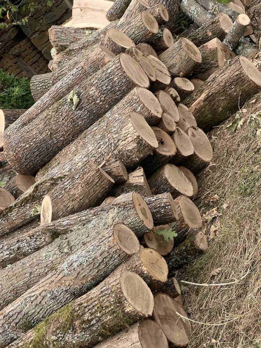 Дърва за огрев! Топла зима..