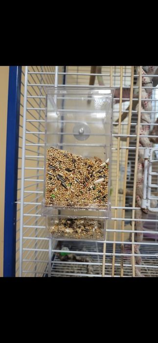 Голяма клетка за папагали