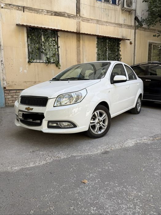 Oq Nexia 3 2018
