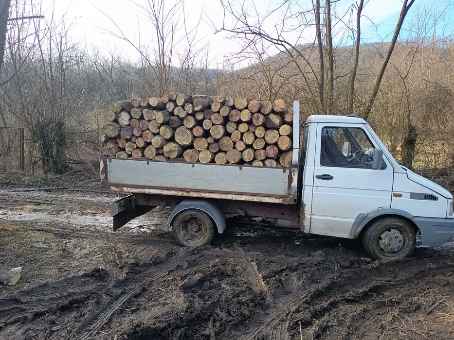 Lemne de foc , esență tare! Fag, Carpen, Stejar, Salcâm
