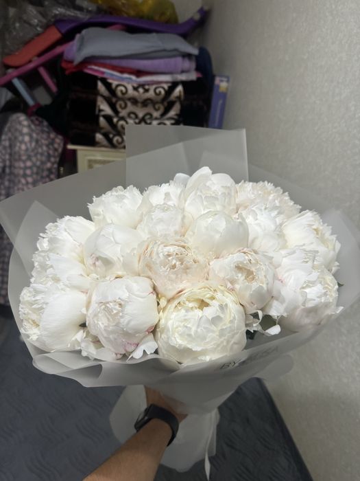 Цветы пионы 17 шт