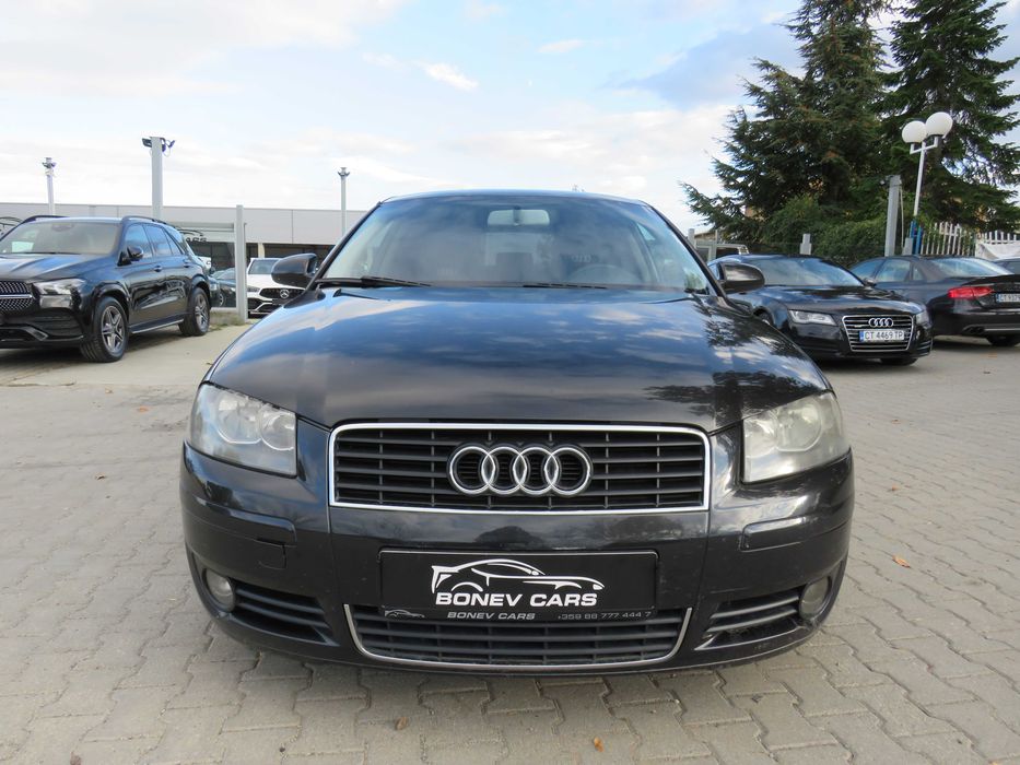 Audi A3 8P 1.9Tdi 105k.c