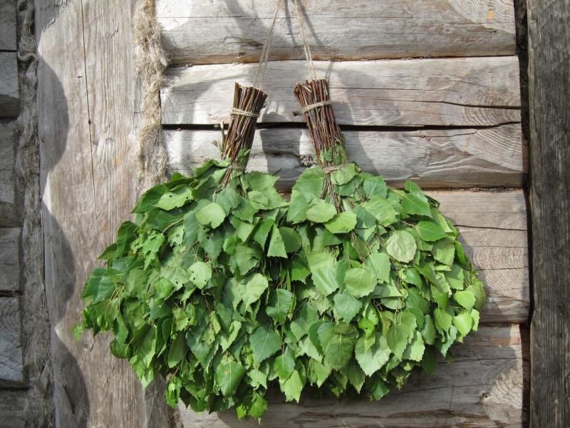 Продам берёзовые веники 700тг