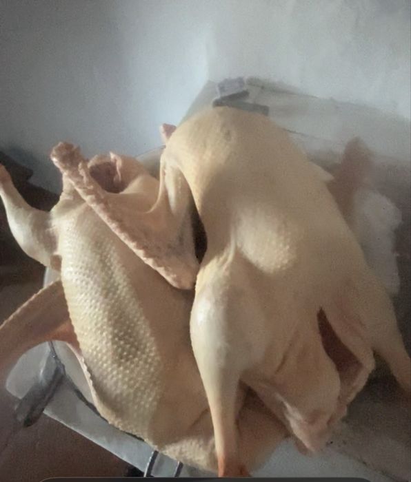 Мясо гуся тушками