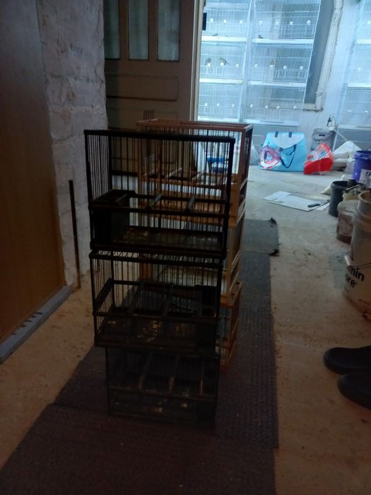 Colivii c2  de cântec