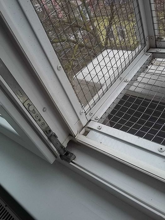 Vand cusca termopan pisici