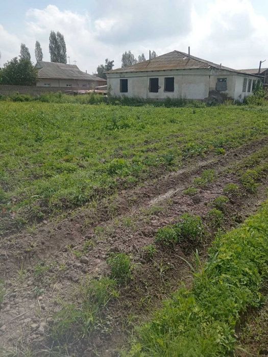 Чорвачилик учун ферма ижарага берилади