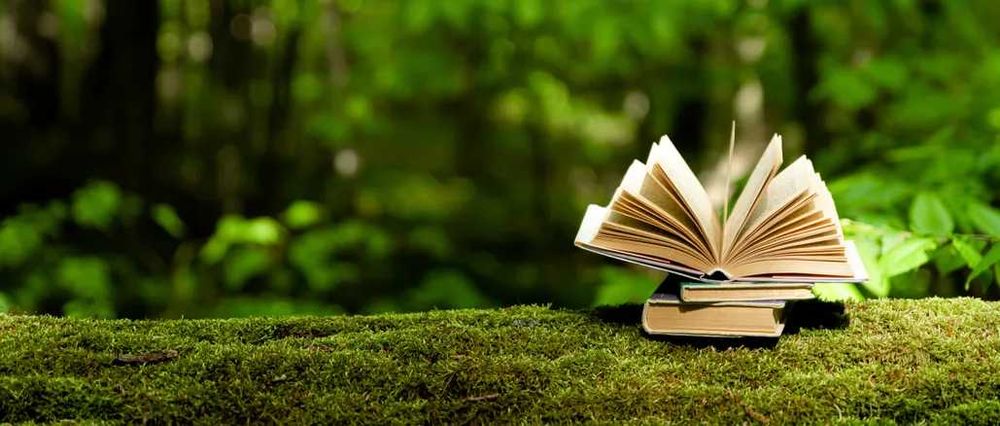 Meditații, suport învățare - Limba și Literatura română, Logică