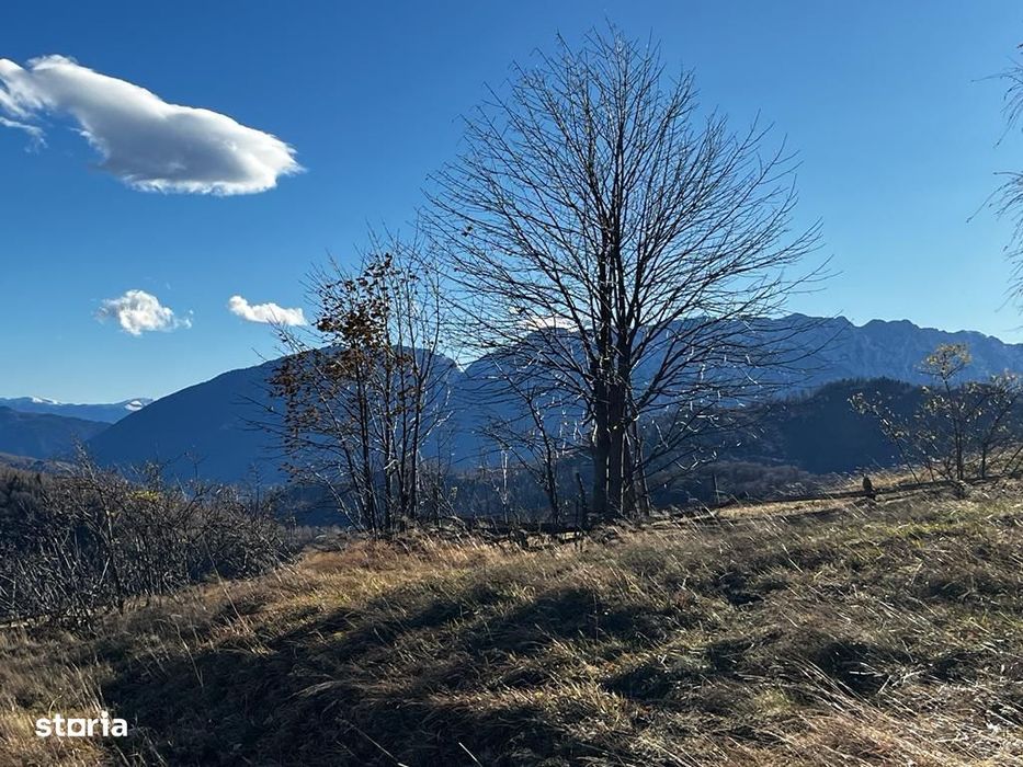 Proprietar vand teren extravilan 2ha, PANORAMA SUPER, Poiana Marului