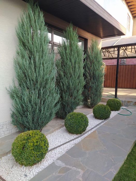 Садовник - озеленитель