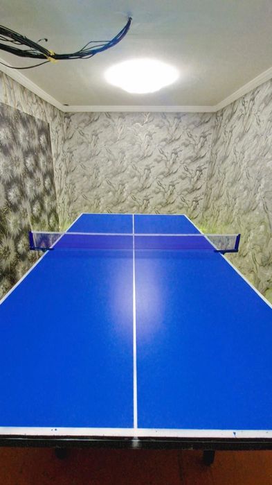 Ping pong ZAVODSKOY MDF Stollar  bor