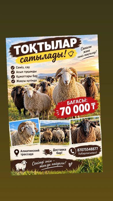 Тоқтылар сатылады