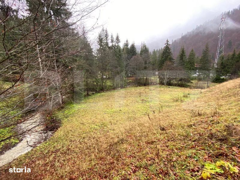 Oportunitate de Investitie: Teren de 10.000 mp la Intrarea in Predeal