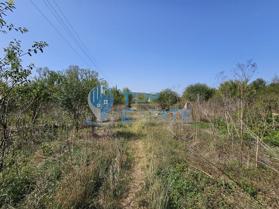 Продава се Промишлена сграда в с. Садина, Област Търговище - 4137 кв.м за 25 €/кв.м - Снимка #10