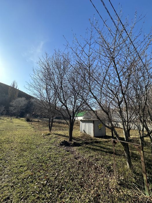 Продается участок в Шамалгане