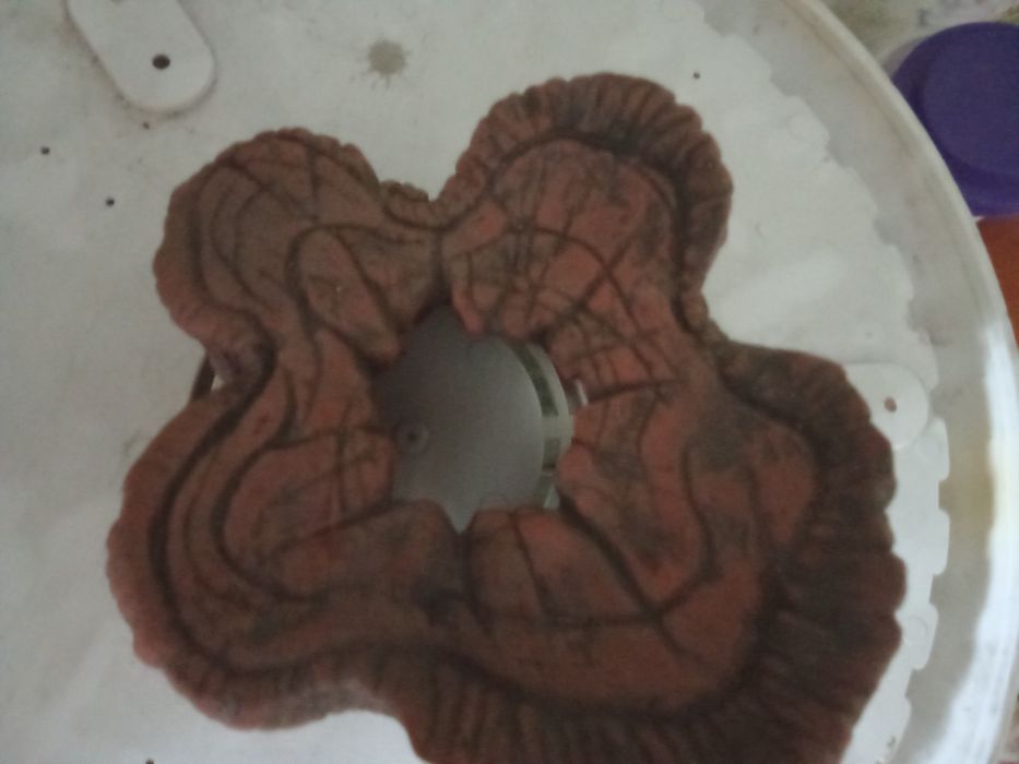 Декорации пень-дерево