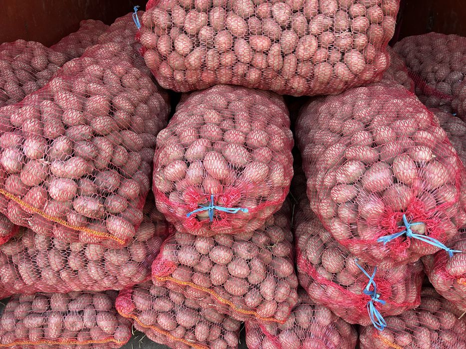 Vand cartofi de samanta