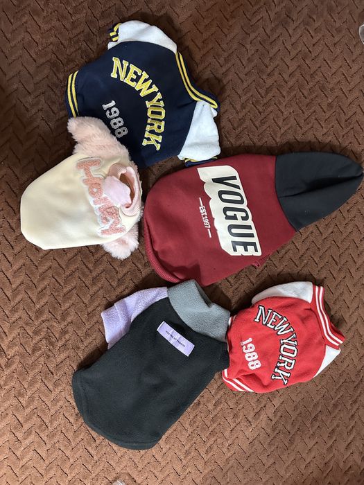 Одежда для сабак