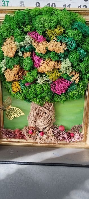 Декорации с жив Скандинавски мъх и