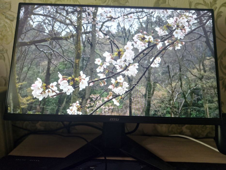 Срочно продам игровой монитор MSI G255F (24.5", IPS, 180Hz)