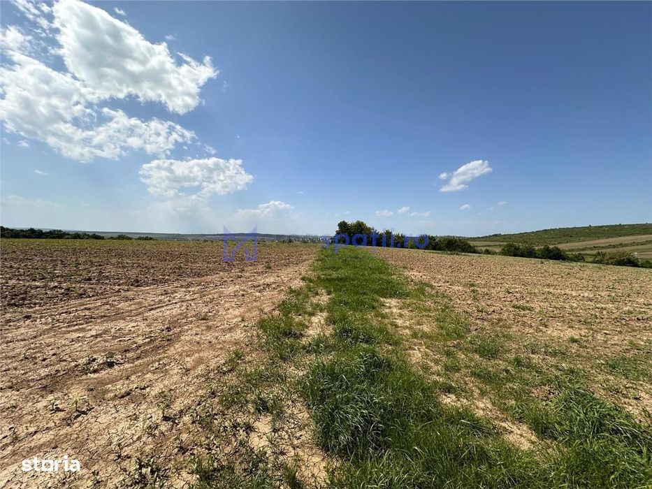 Teren langa padure pentru casa, Cercu, Barnova, de la 500mp la 4000mp