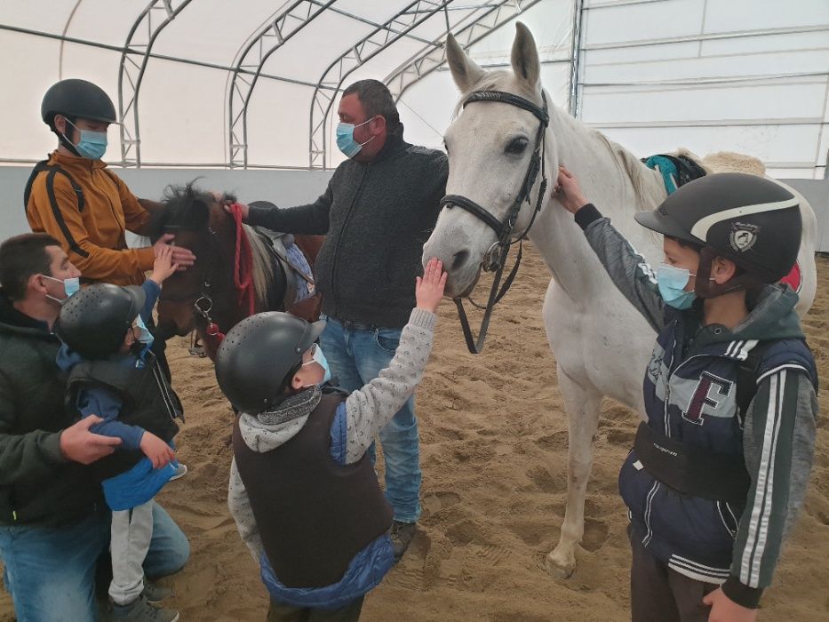 Echitatie Bucuresti la HOBBY LAND Ranch.