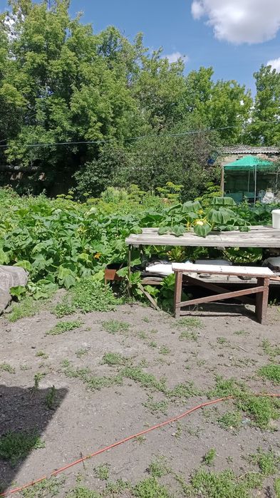 Продам дом в Михайловке