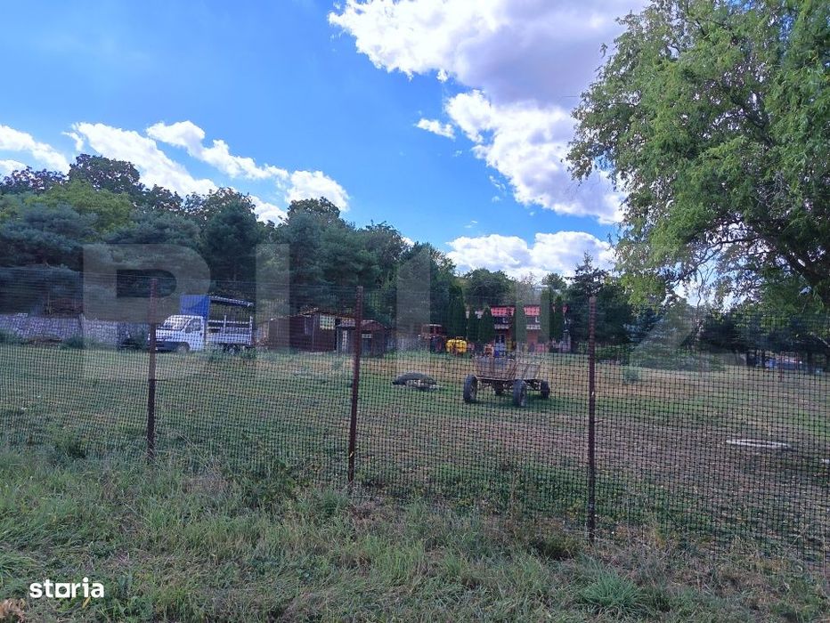 Teren de vanzare, 6500 mp cu livada, zona Mihai Viteazu