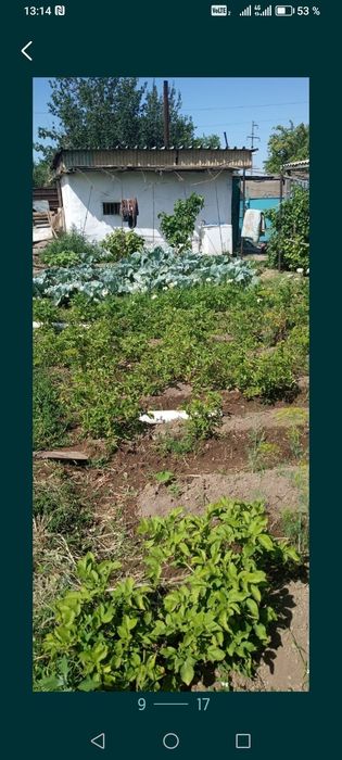 Продам дачу на БАМЕ