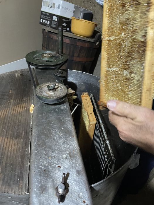 Vând miere naturală 2025