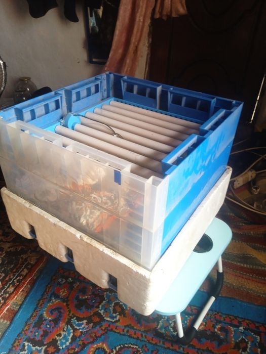 Inkubatsiya joʻja chiqaradigan aparat