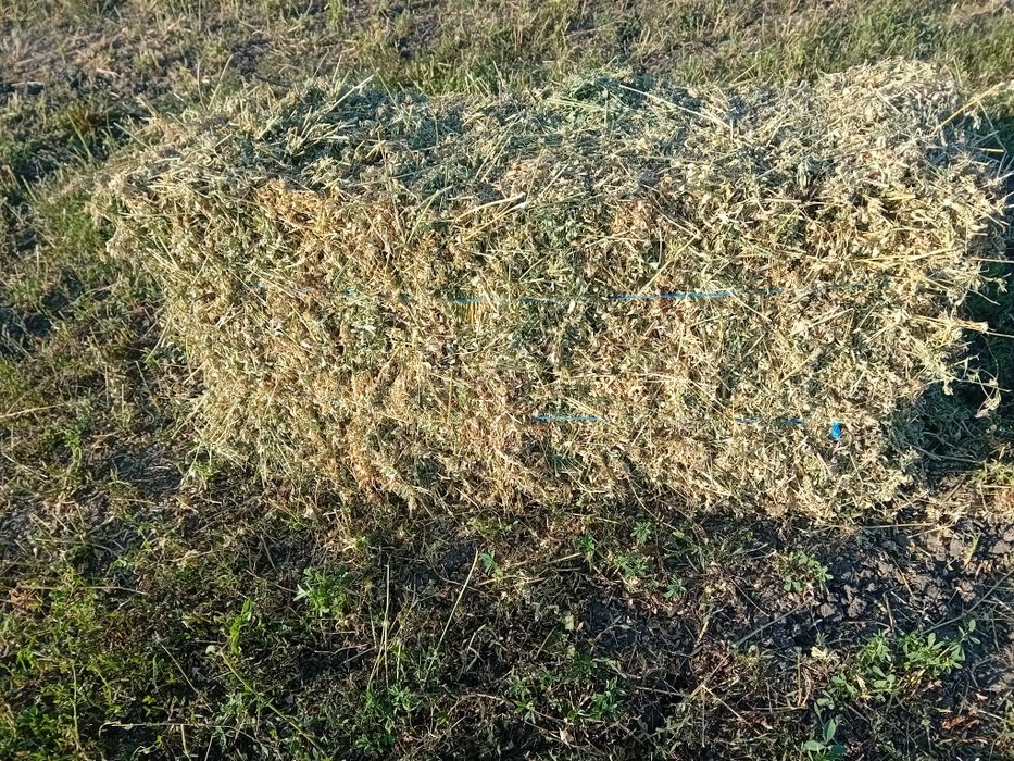 Vand Baloti lucerna ,coasă a 3,