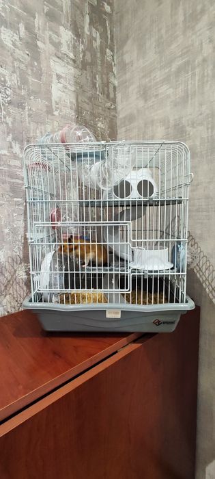 Продается клетка с хомячком