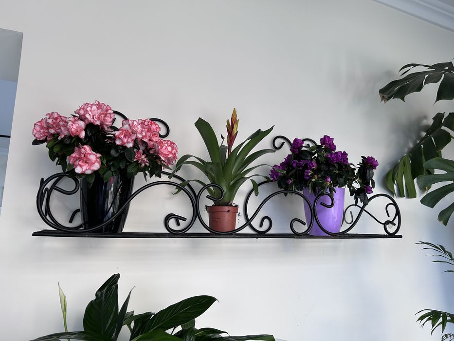 Полки кованые настенные