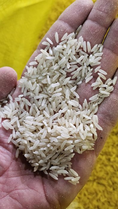 Tuyma lazer guruch sotiladi. 10 000 som narxi.